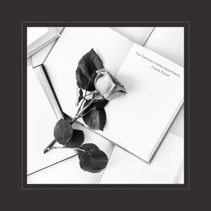 免费无遮挡🔞直播网站进口
